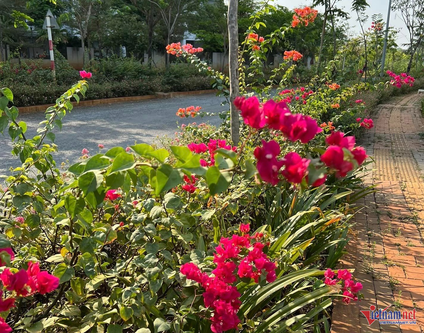 W-nông thôn mới HCM.jpg