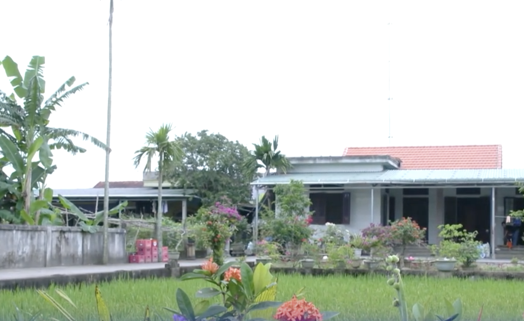 Ảnh màn hình 2024 07 11 lúc 13.06.00.png