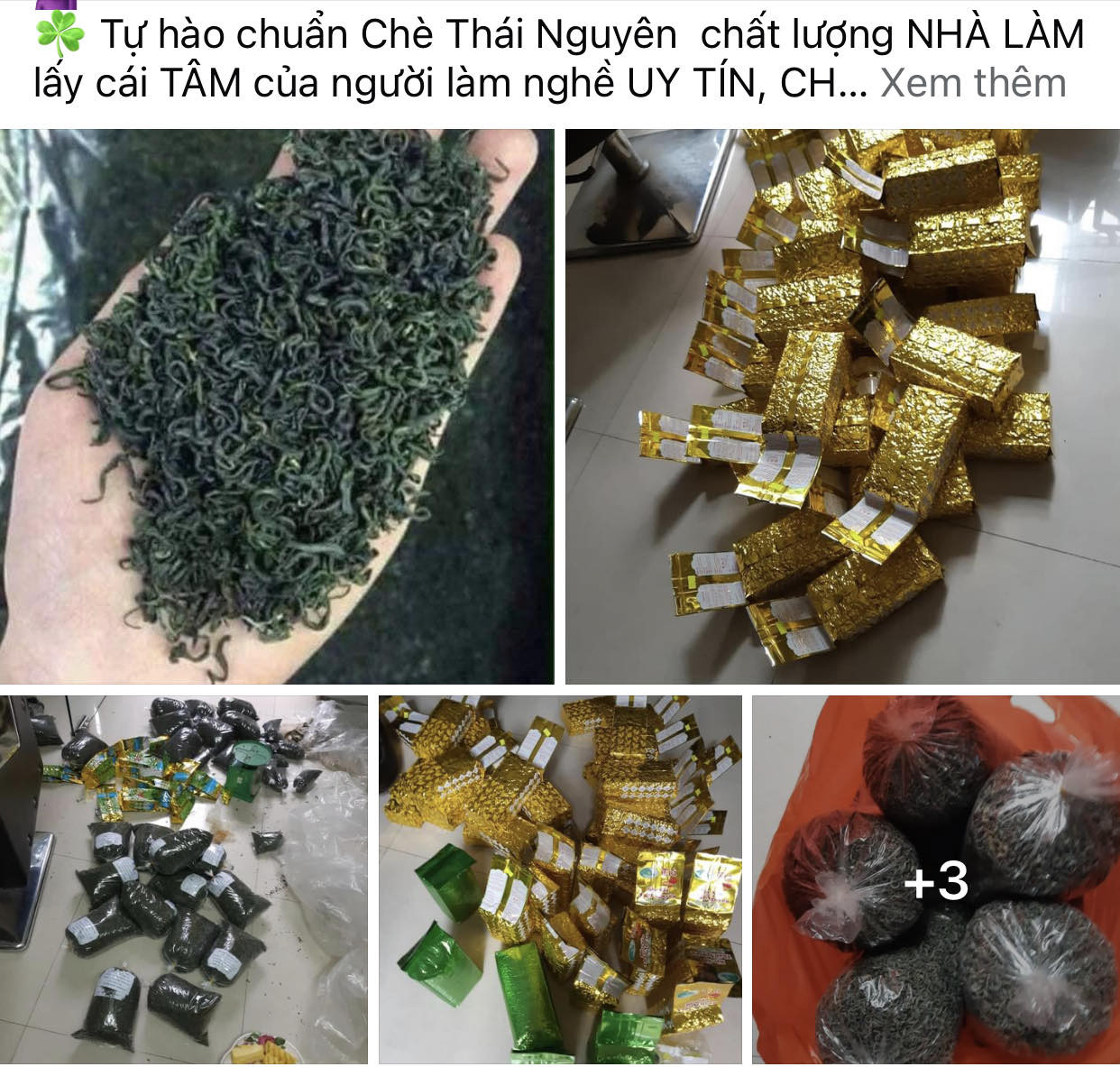 B11_A1_Che Thai Nguyen.jpg