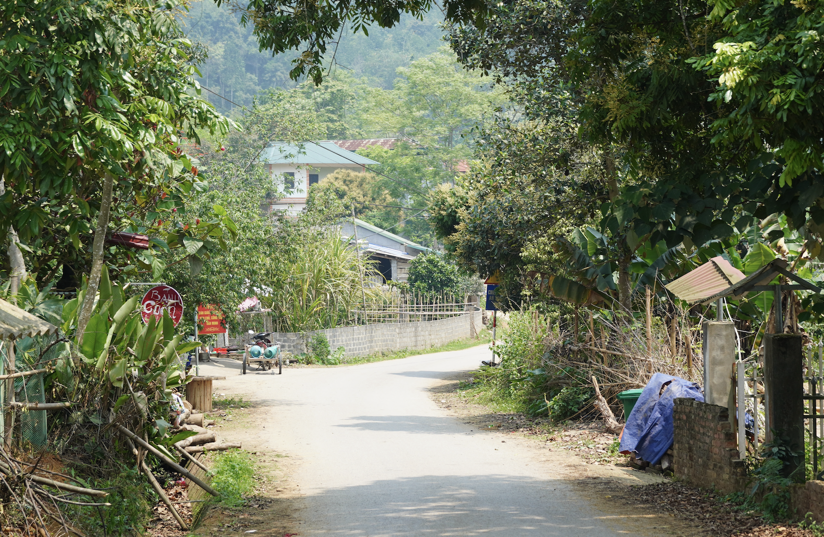 bac kan