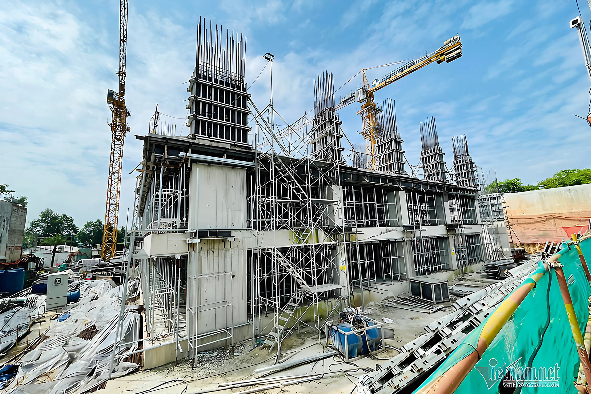 IMG_223EC99A0DAA 1.jpg