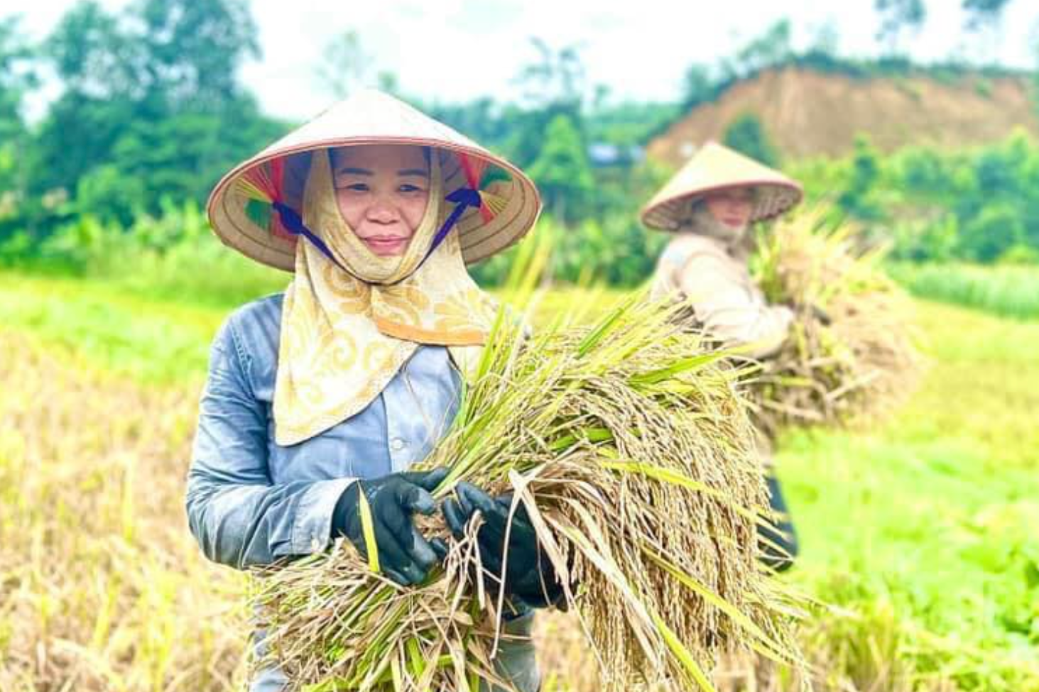 Lào Cai phấn đấu 15 xã về đích nông thôn mới và nông thôn mới nâng cao