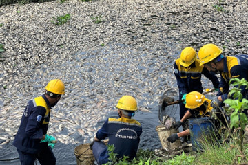 Truy nguồn nước thải, tìm nguyên nhân cá chết nổi trắng hồ ở Đà Nẵng