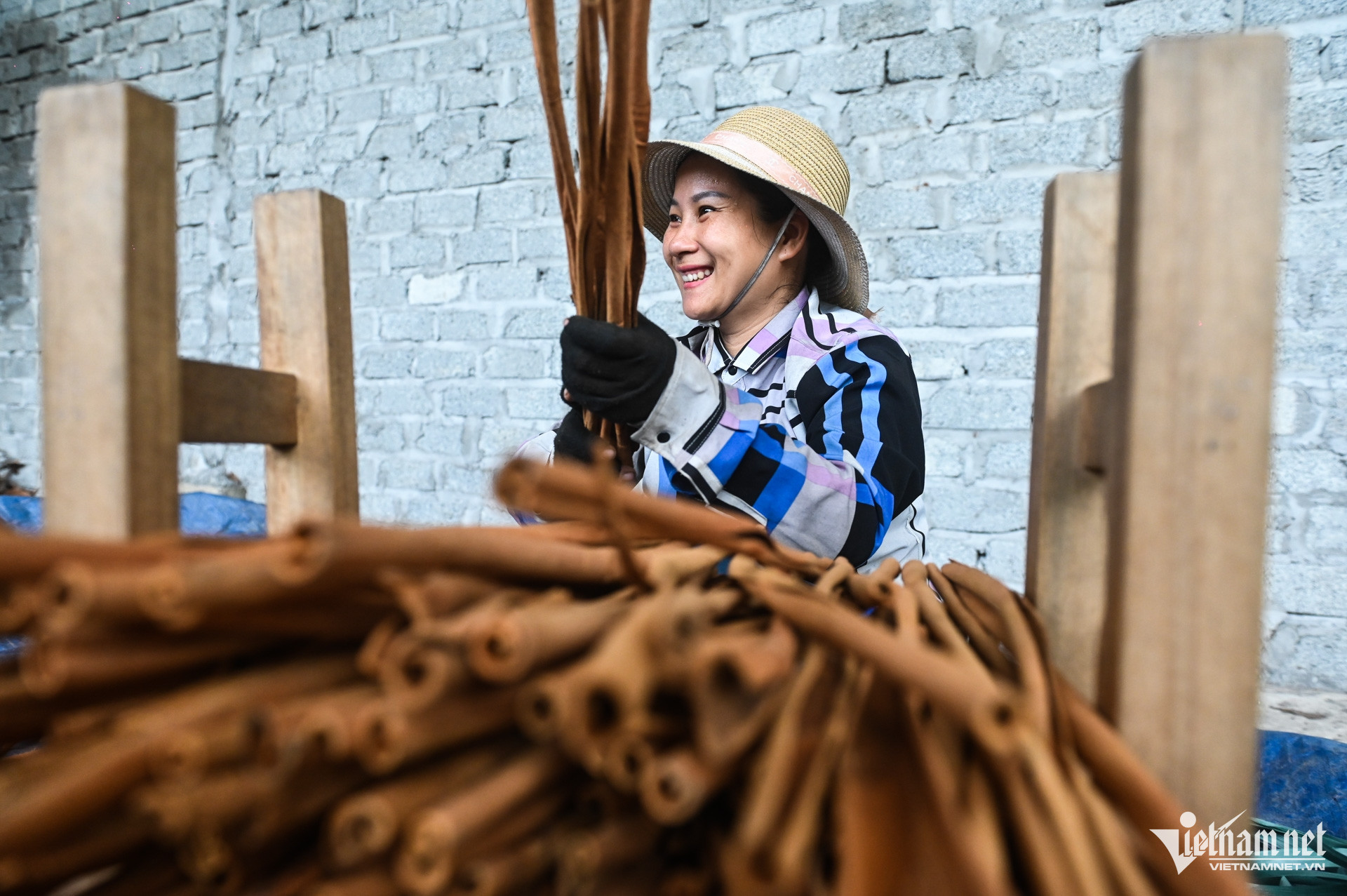 W-Trồng quế Yên Bái (8).jpg