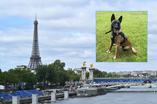 Bí mật chú chó bảo vệ an ninh cho Olympic Paris 2024
