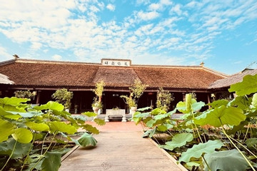 Không gian thanh tịnh ở chùa Thanh Âm, Hà Nội