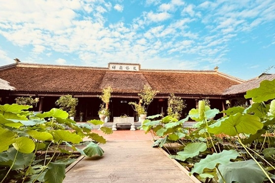 Không