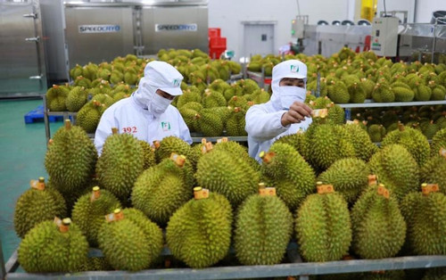 Thái Lan chi lượng tiền gấp 2 để mua rau quả Việt Nam