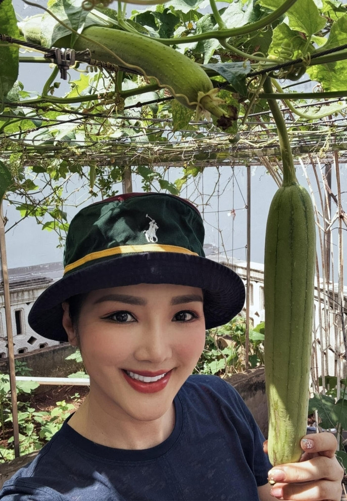 batch_dd45202301325273168841136518586466829329622885n 23025738.jpg