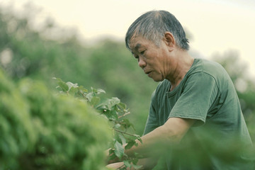 Bùi Tiến Thường sáng tác ca khúc ngợi ca quê hương 