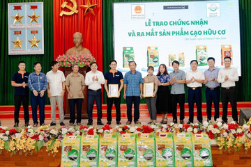 Hòa Lạc IEC nhận giấy chứng nhận gạo hữu cơ
