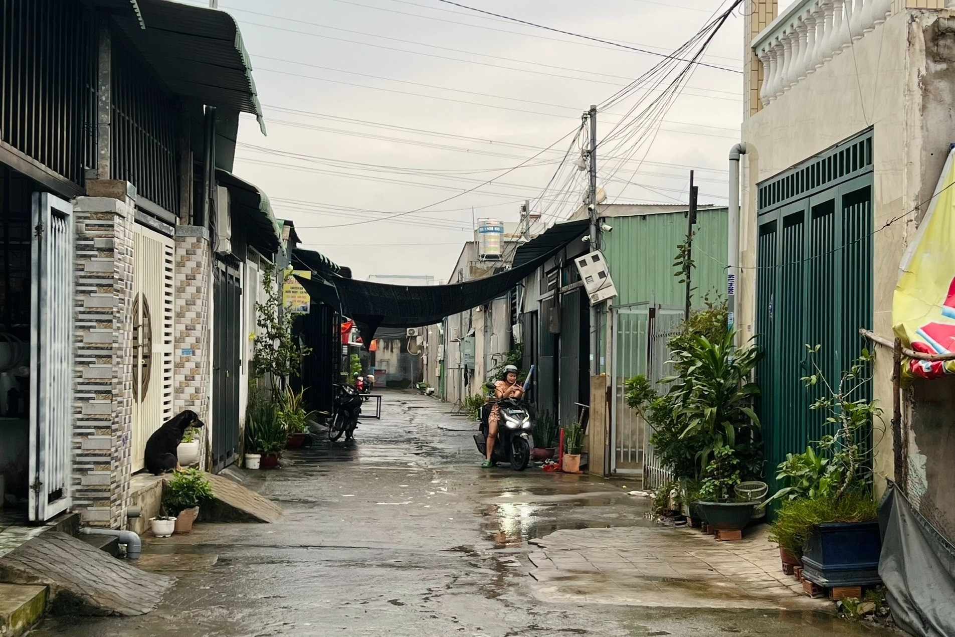 'Ngồi trên lửa' vì mua nhà xây trái phép trên đất người khác