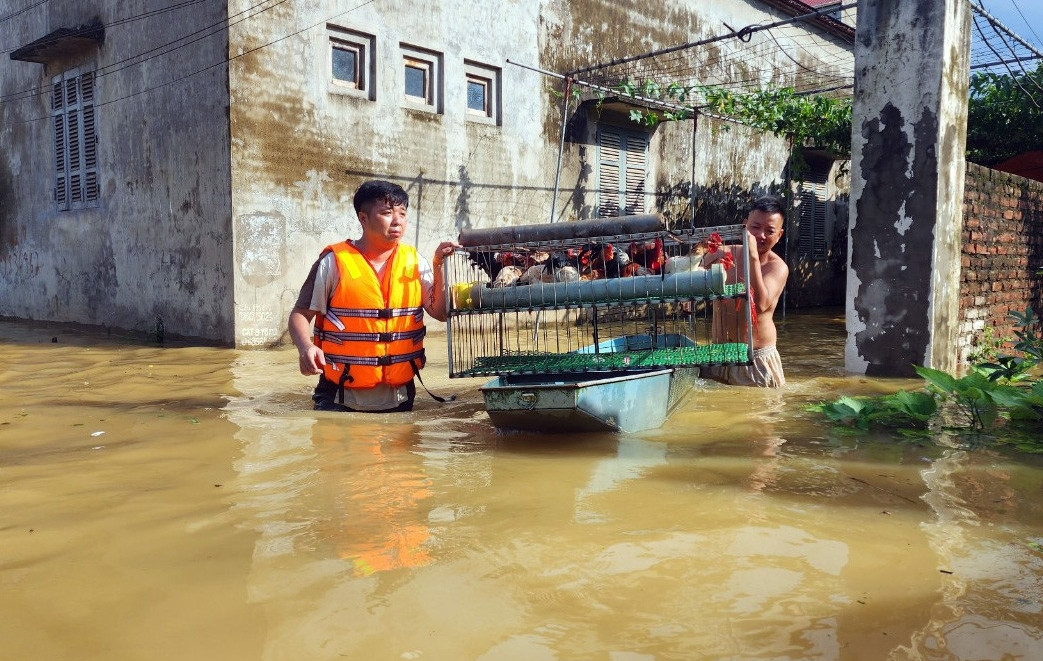 Dự báo thời tiết 30/7/2024: Mưa lớn trút nước xuống Bắc Bộ