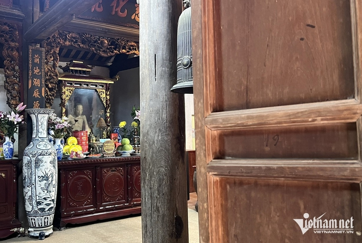 63fe619c2d2f8e71d73e 797.jpg