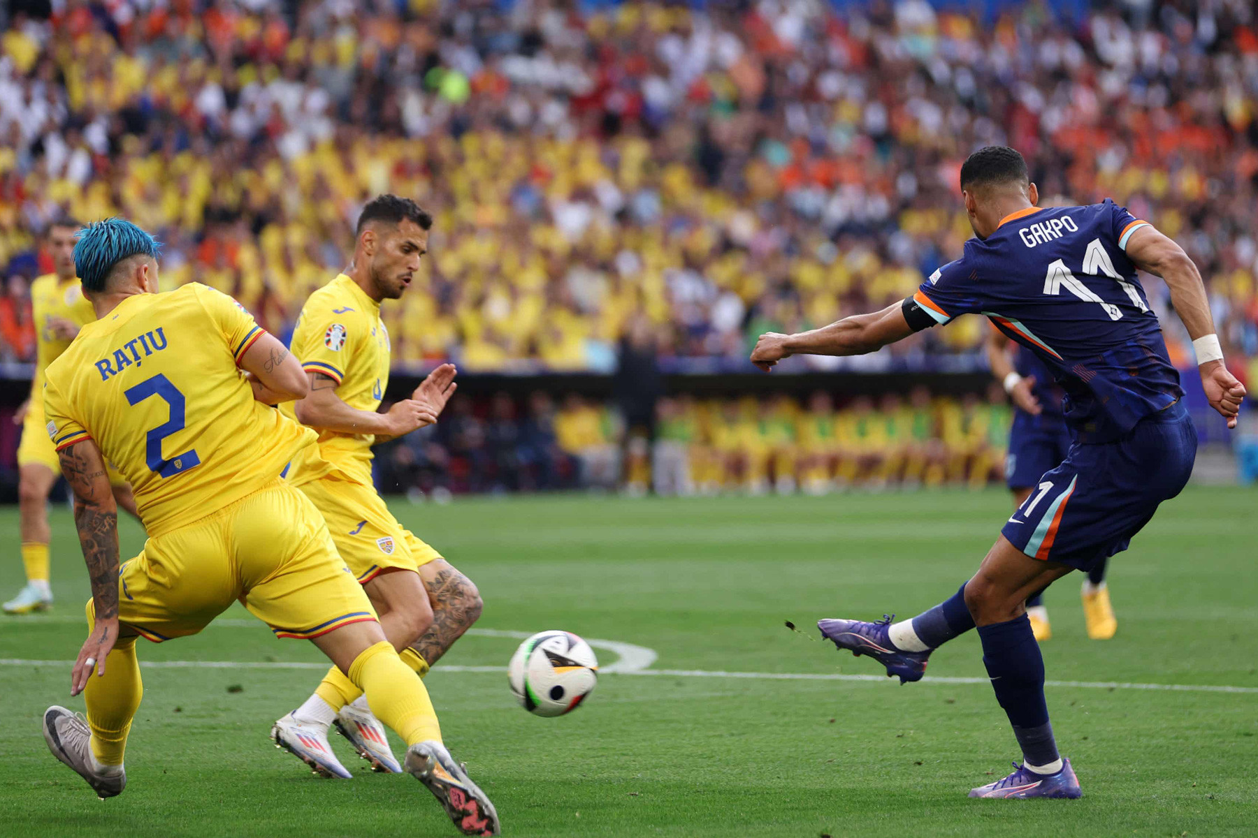 Cody Gakpo Ha Lan Romania 1.jpg