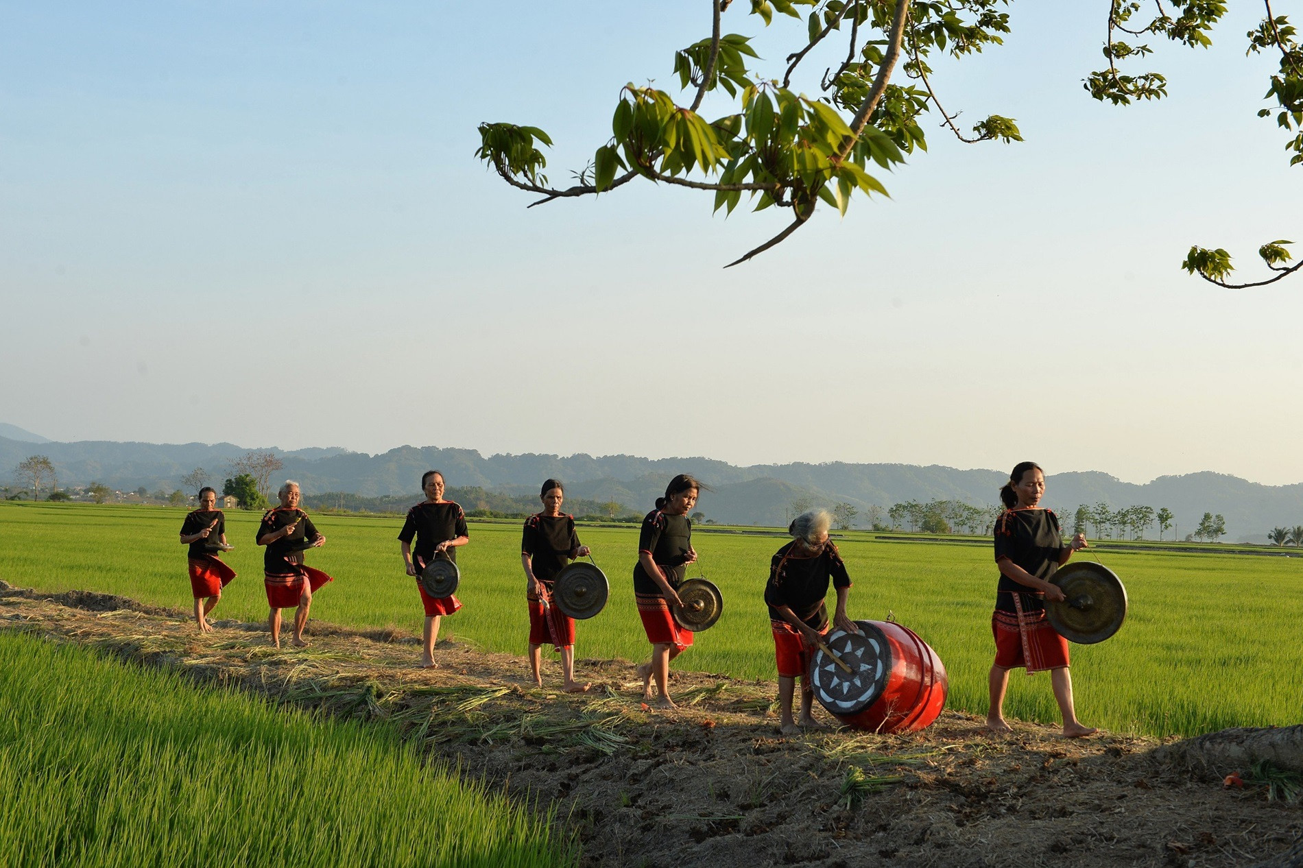 Dàn chiêng nữ Ê đê Bih. Ảnh NSNA Quang Khải.jpg