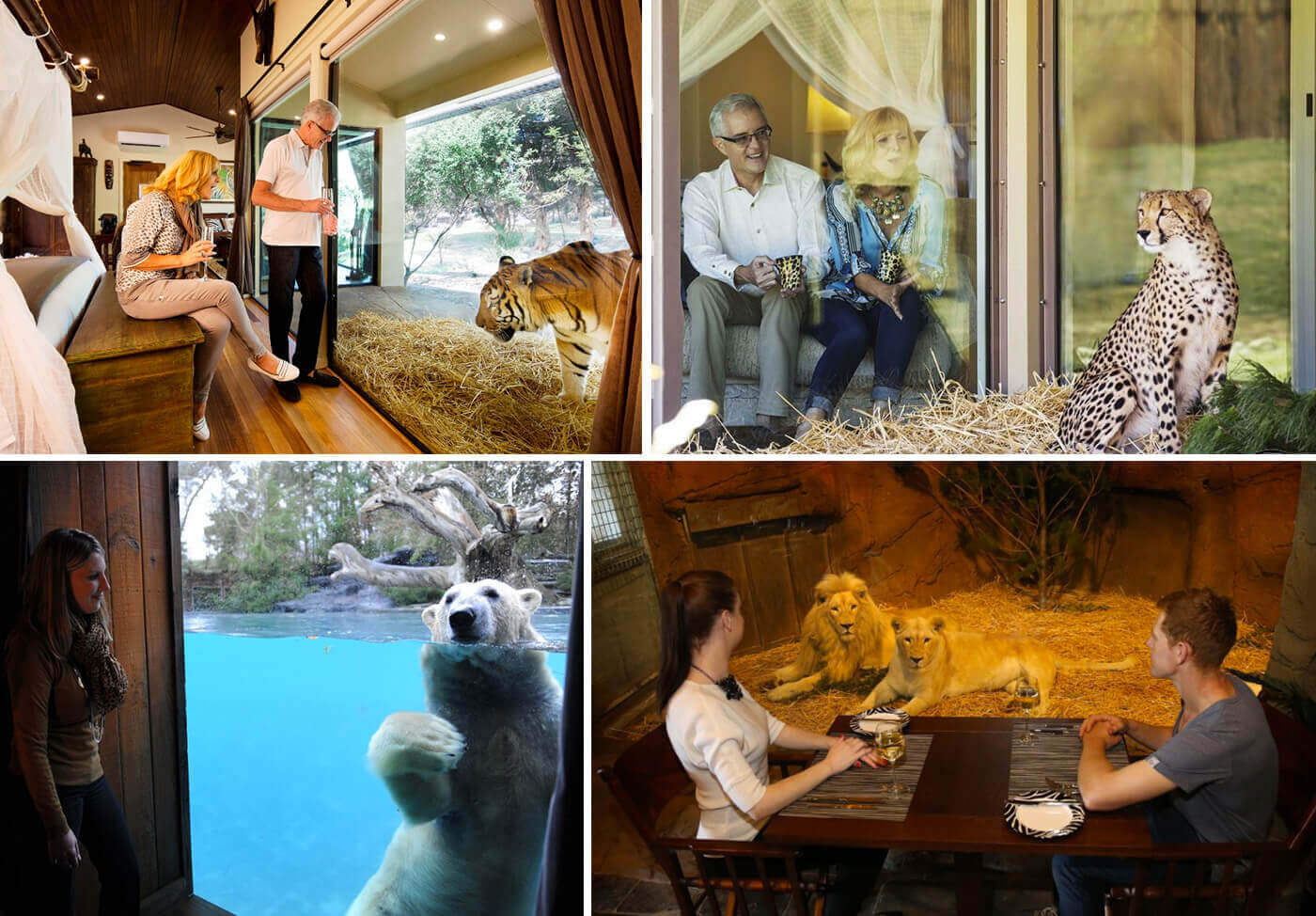 Jamala Wildlife Lodge Australia 2.jpg