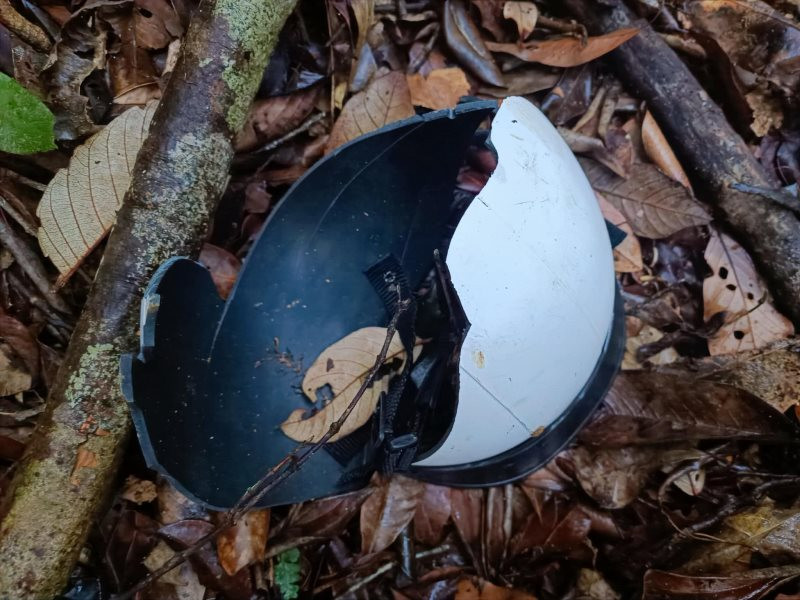 Tử vong do cây đổ trúng người 1.jpg