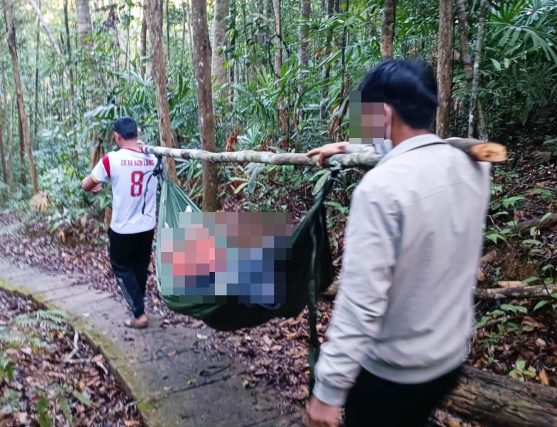 Tử vong do cây đổ trúng người 2.jpg