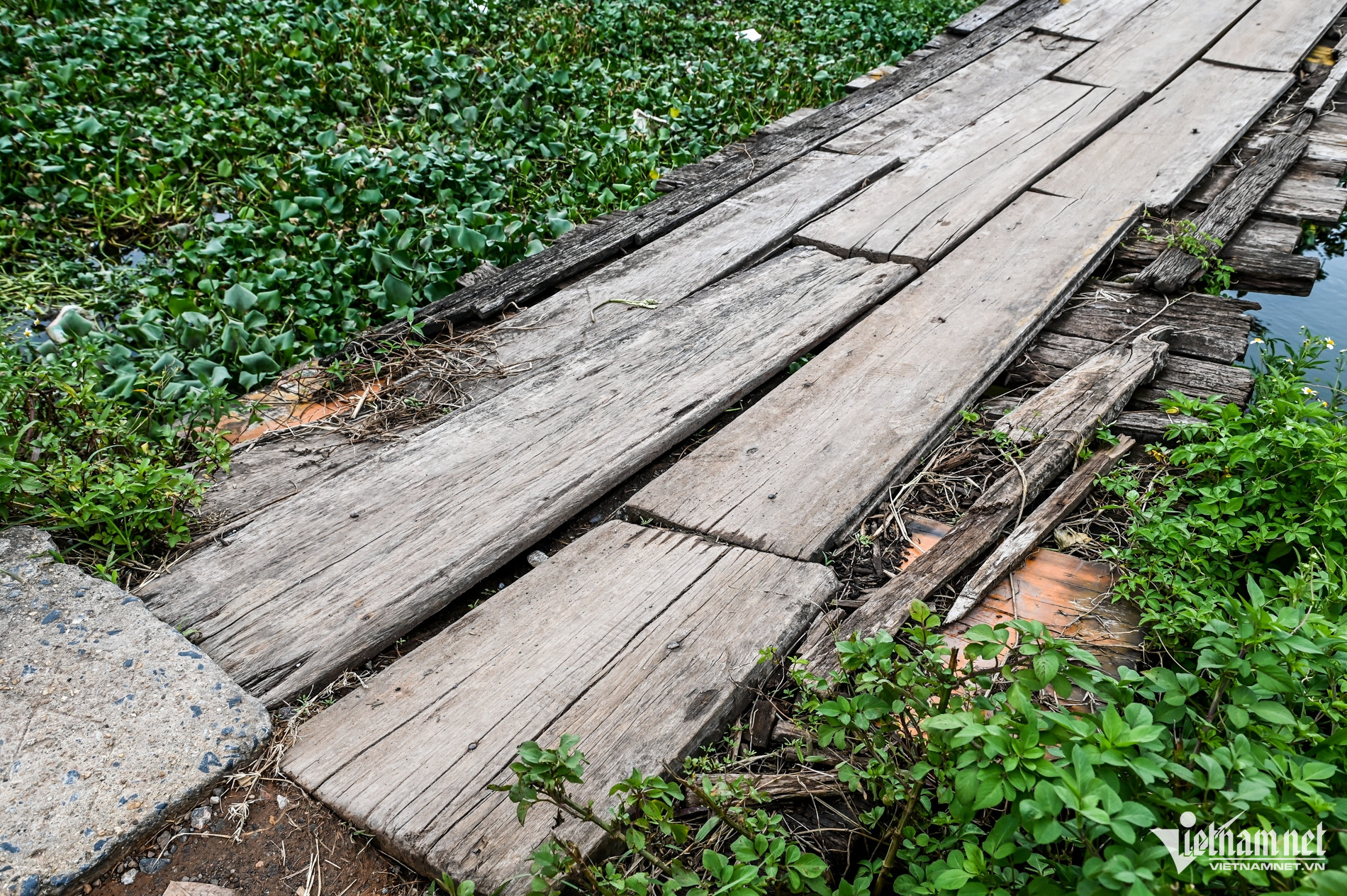 W-Cầu quan tài_1.jpg