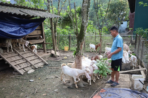 Cơ hội thoát nghèo cho đồng bào dân tộc thiểu số huyện miền núi Quảng Bình