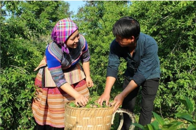 Đẩy mạnh công tác xây dựng gia đình văn hóa ở vùng cao tỉnh Lào Cai