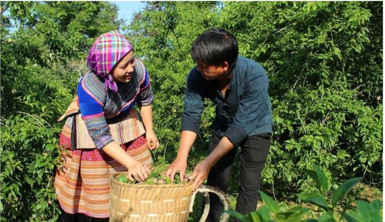 gia đình văn hóa lào cai.JPG