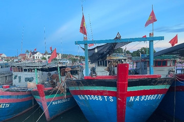 Kết nối ngư dân phát triển kinh tế biển và góp phần bảo vệ biển, đảo Tổ quốc