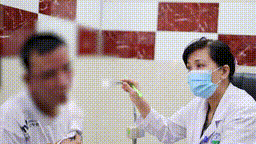 TPHCM: Hàng trăm người biến dạng da, nhập viện vì nhiễm độc kiến ba khoang