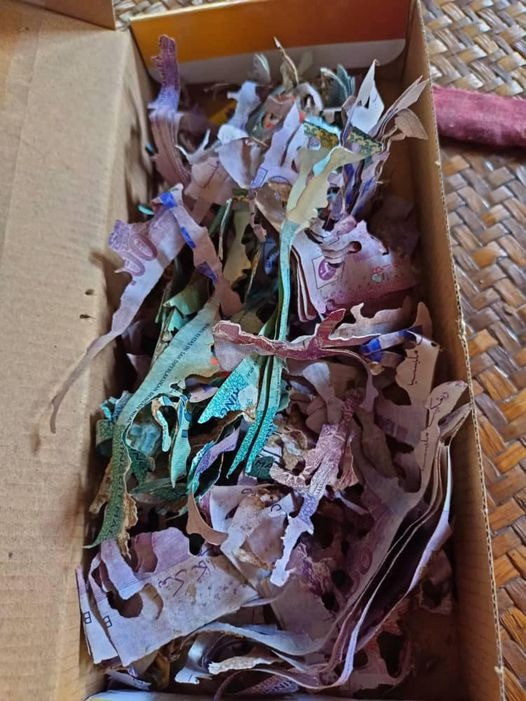 361667400633601955976894027006 16907048808311287398729 1690723372351 1690723373205658458027.jpg