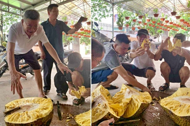 Chủ nhà bổ quả mít 'khủng' gần 55kg, hàng xóm kéo nhau sang thưởng thức