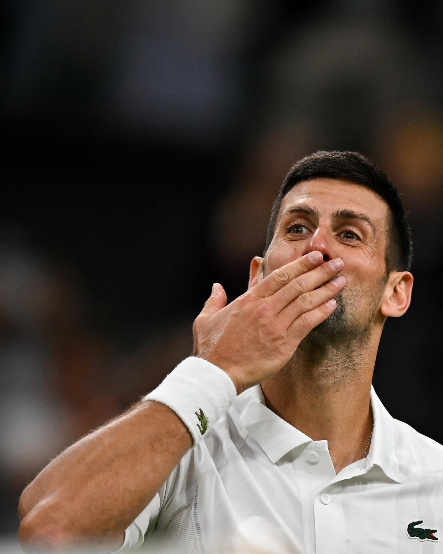 djokovic 1.jpg