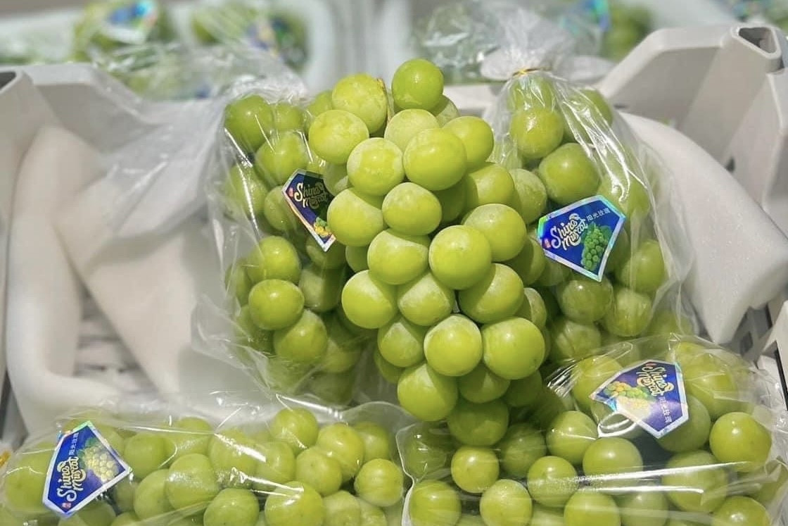 Nho ngoại giá rẻ như rau, thị sáp đầu mùa siêu đắt vẫn 'cháy hàng'