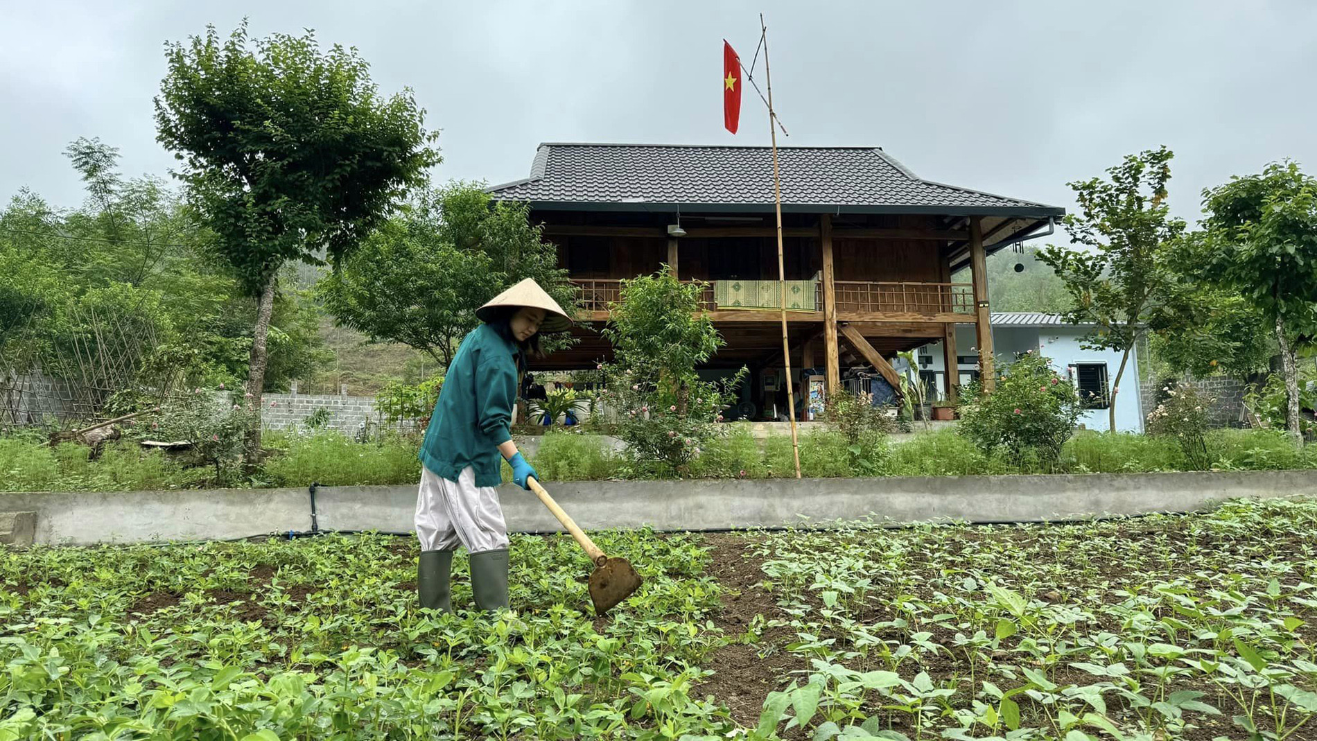 vo chong hung yen tau dat lam nha vuon 12.jpg