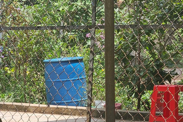 Người phụ nữ ở Bình Phước tử vong trong thùng phuy đầy nước