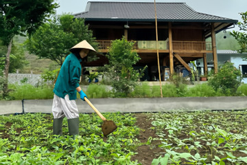 Tậu 2ha đất không điện, thiếu nước, vợ chồng Hưng Yên làm chốn ‘chữa lành’