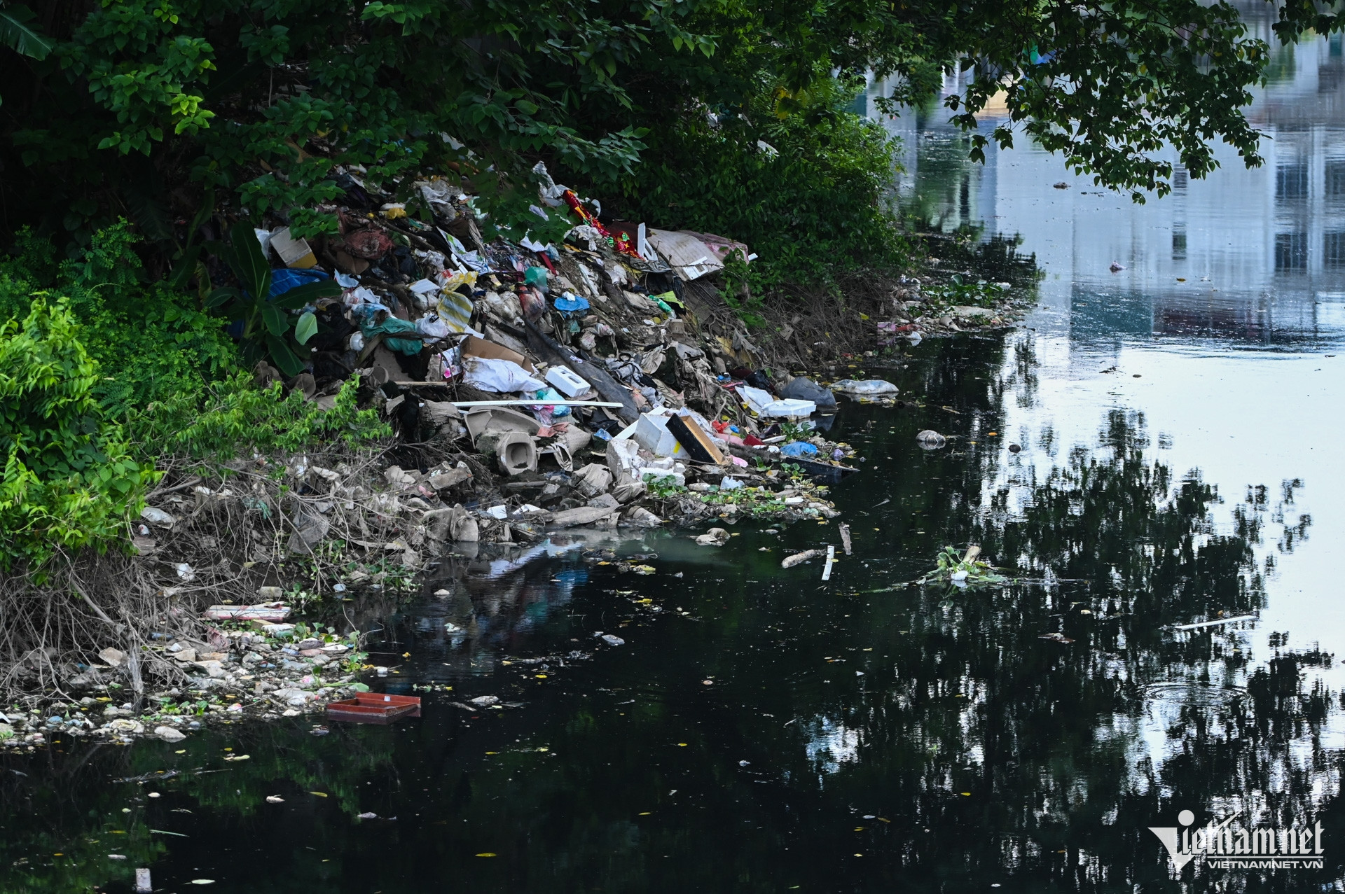 W-Bảo vệ môi trường (25).jpg