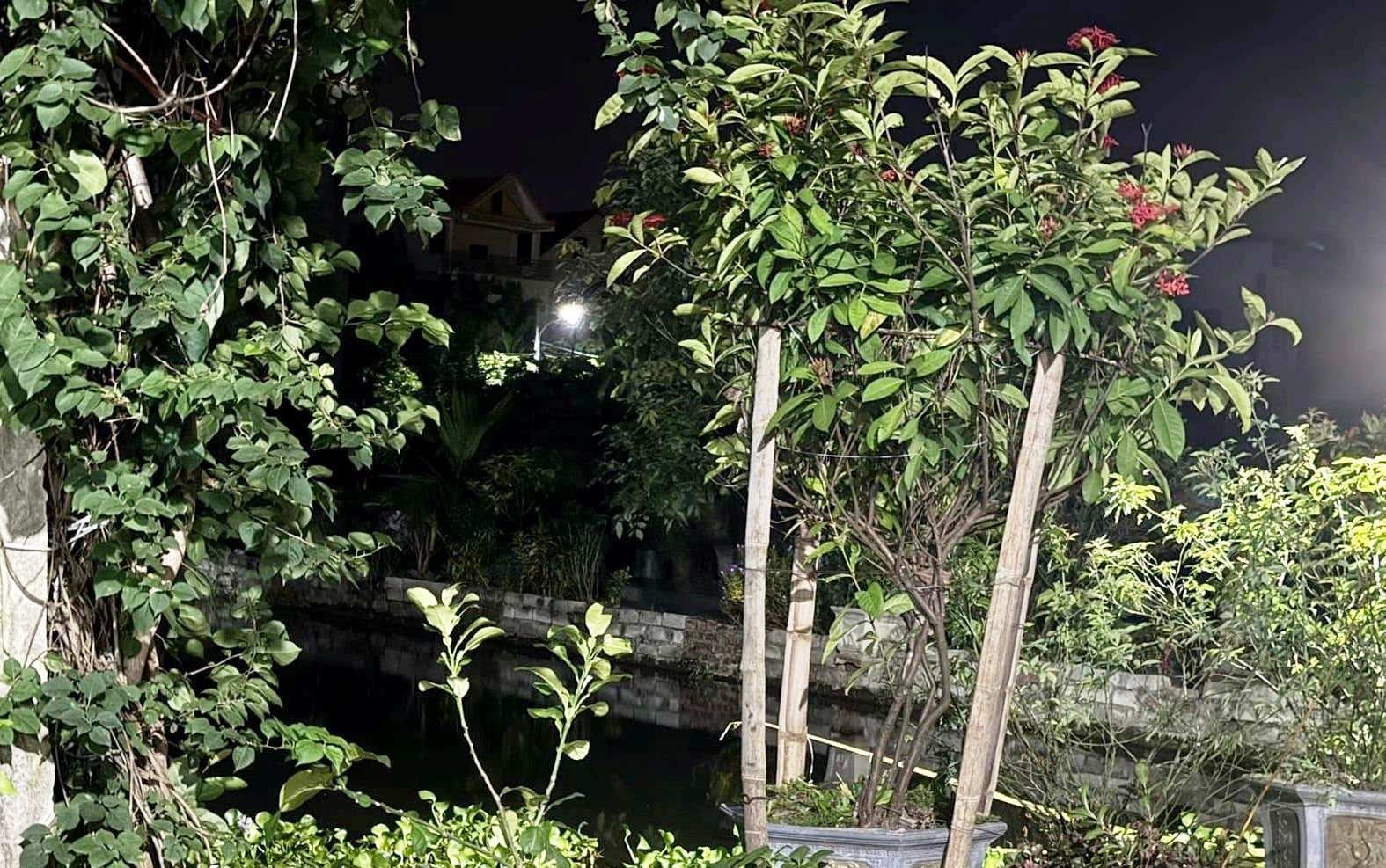 91c1d2af e0fc 40b3 9e56 2c81e15d8760.jpeg