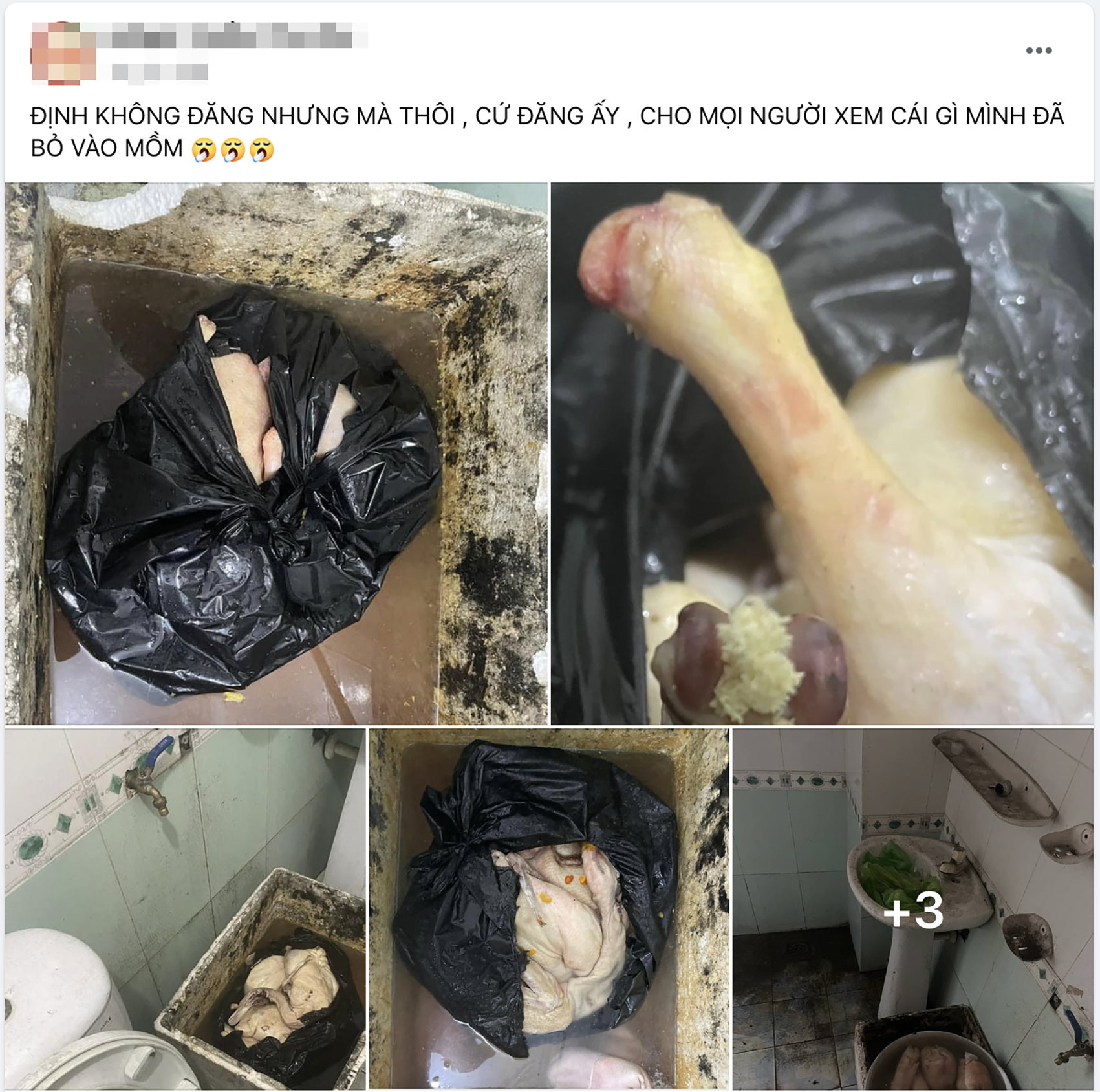 Ảnh chụp Màn hình 2024 07 08 lúc 19.46.10.png