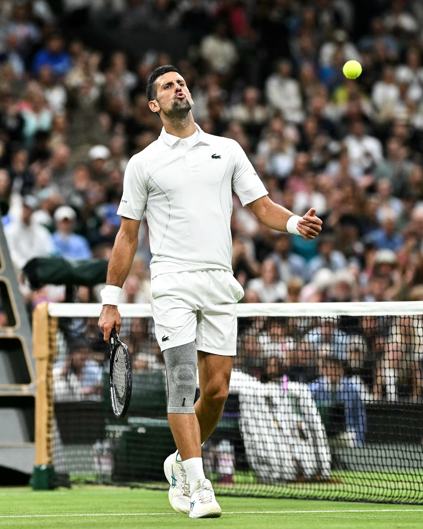 'Thổi bay' Holger Rune, Djokovic thẳng tiến tứ kết Wimbledon djokovic.jpg