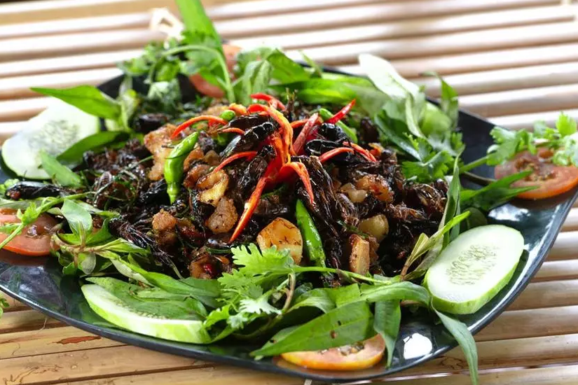 Co giật giữa đêm phải đi cấp cứu sau khi ăn rau xào với bọ xít