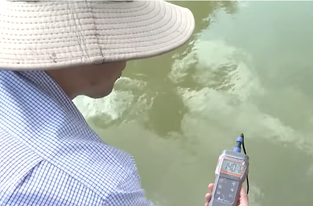 Dữ liệu thời tiết nông vụ góp phần làm tăng năng suất và doanh thu từ trồng lúa