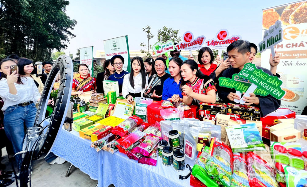 Được hướng dẫn kỹ năng kinh doanh trên nền tảng số, phát triển thương hiệu, xây dựng hình ảnh (livestream) bán hàng trực tuyến, nhiều doanh nghiệp, HTX trên địa bàn tỉnh từng bước nâng cao hiệu quả sản xuất, kinh doanh. Ảnh: H.C