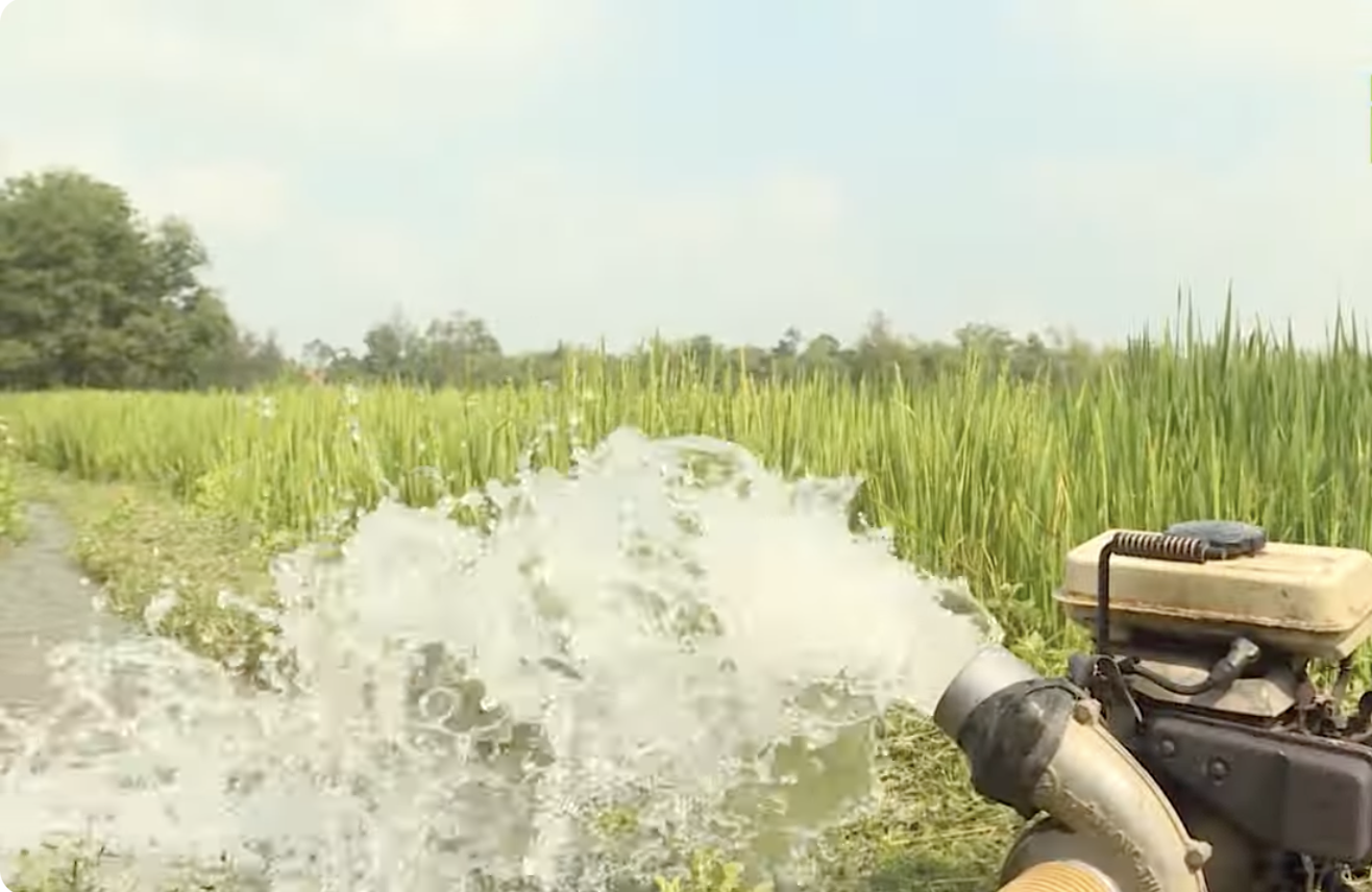 Sóc Trăng triển khai bản tin thời tiết nông vụ theo hướng ứng dụng chuyển đổi số