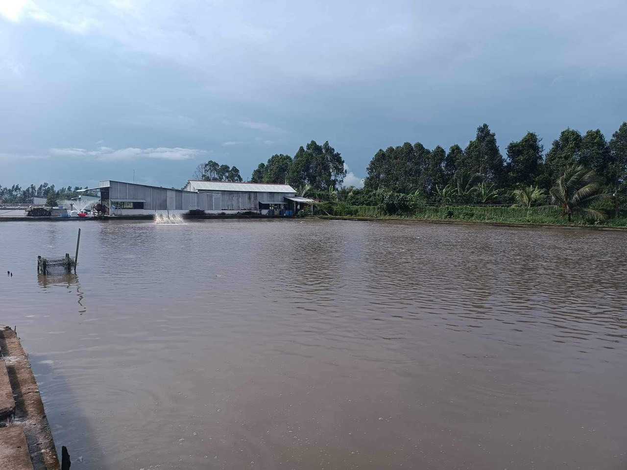 nuôi thuỷ sản cà mau.jpg