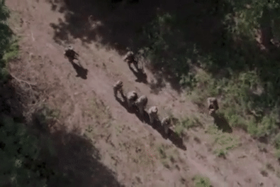 Nga tung bằng chứng bắt lính đột kích, Kiev mời dân Kursk sơ tán sang Ukraine