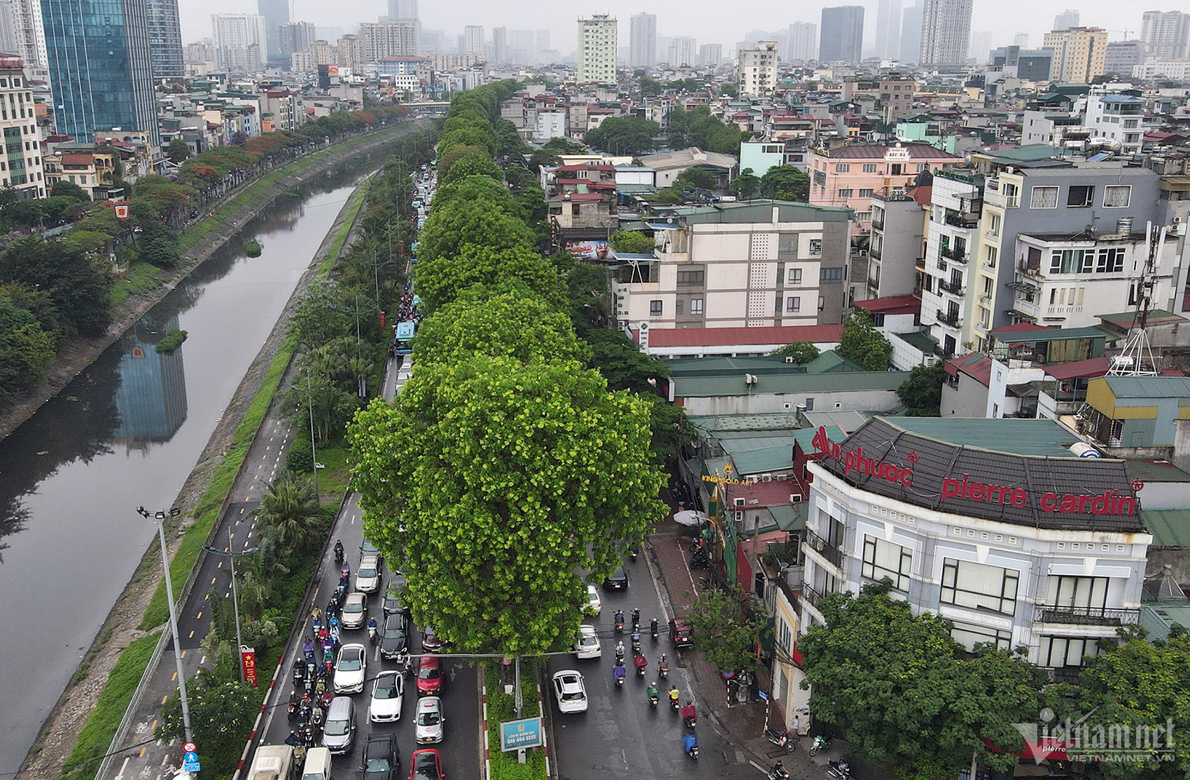 w cay duong langjpg 2801.jpg