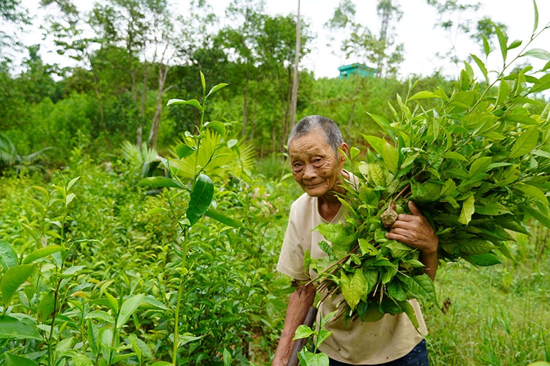 Những người giữ vững bình yên giúp bà con dân tộc thiểu sổ phát triển kinh tế