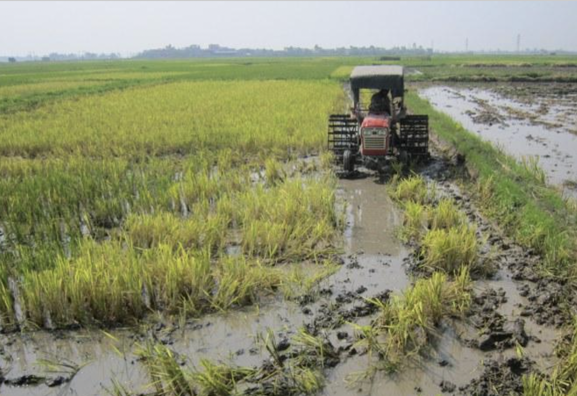 Ảnh chụp Màn hình 2024 08 17 lúc 16.13.54.png