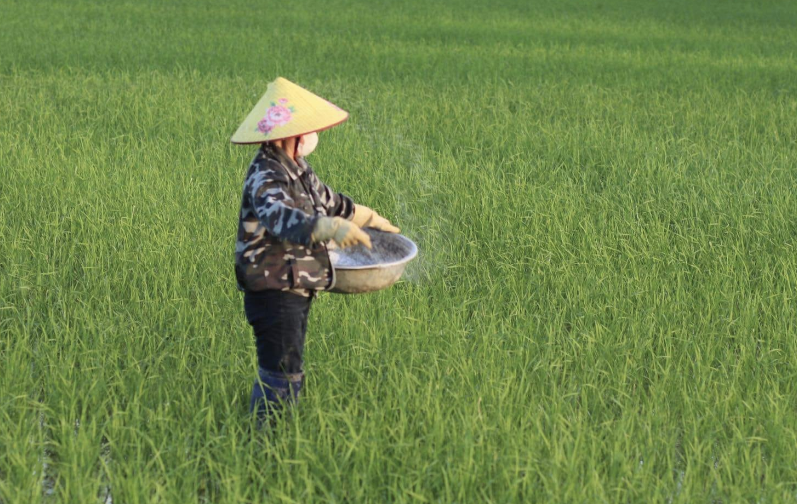 Ảnh chụp Màn hình 2024 08 19 lúc 12.56.18.png